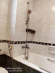 Holland Peak (D10), Condominium #470467741